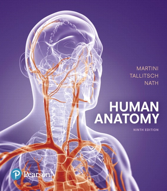 Human Anatomy, 9E Frederic H. Martini, Robert B. Tallitsch, Judi L. Nath,  Instructor Solution  Manual