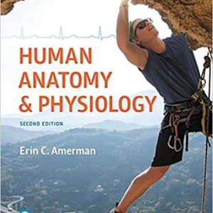 Human Anatomy & Physiology  2nd Edition Erin C. Amerman Test Bank  PDF