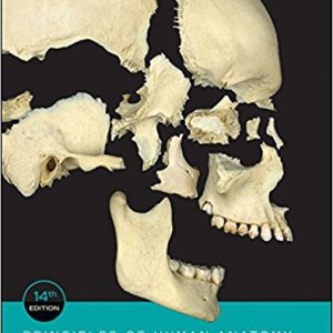 Principles of Human Anatomy, 14th Edition Tortora, Nielsen Real Anatomy Worksheet Answer Keys